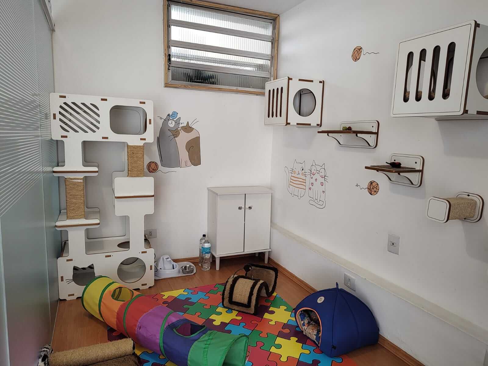 Conheça mais: O Gato Comeu