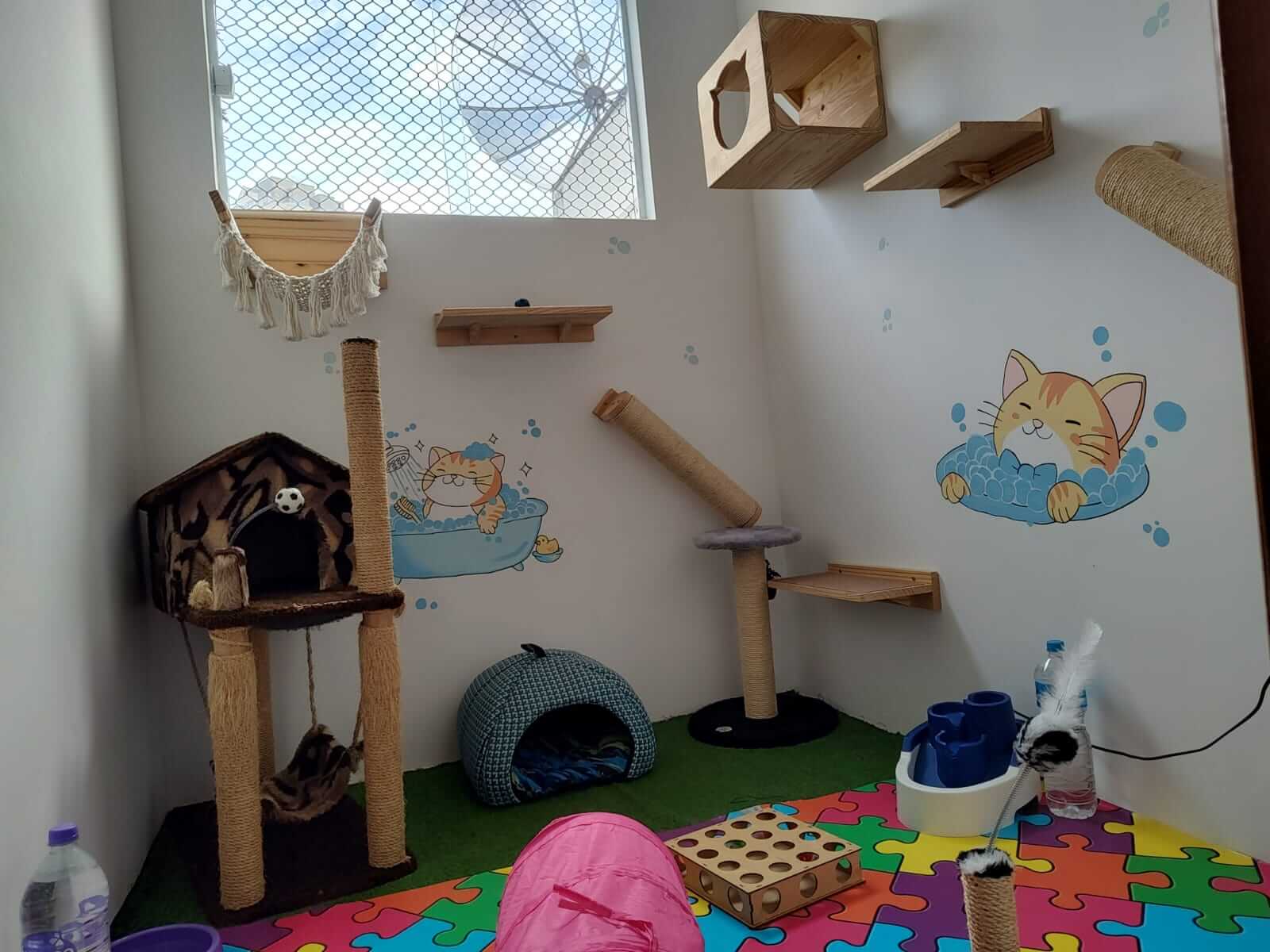 Conheça mais: Cat Shower