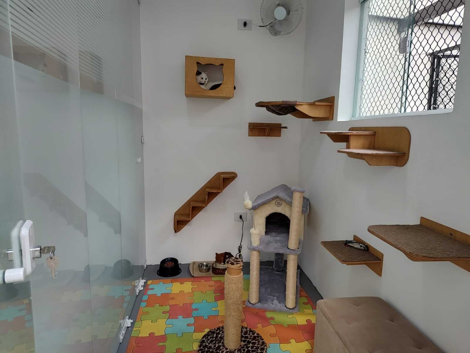 Conheça mais: Pulo do Gato