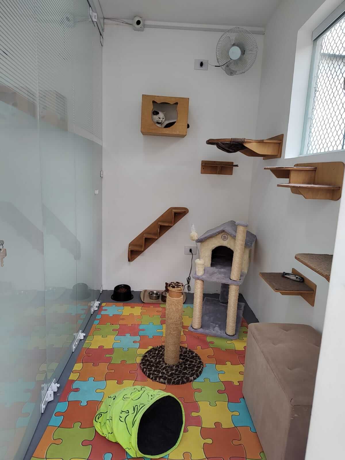 Conheça mais: Pulo do Gato