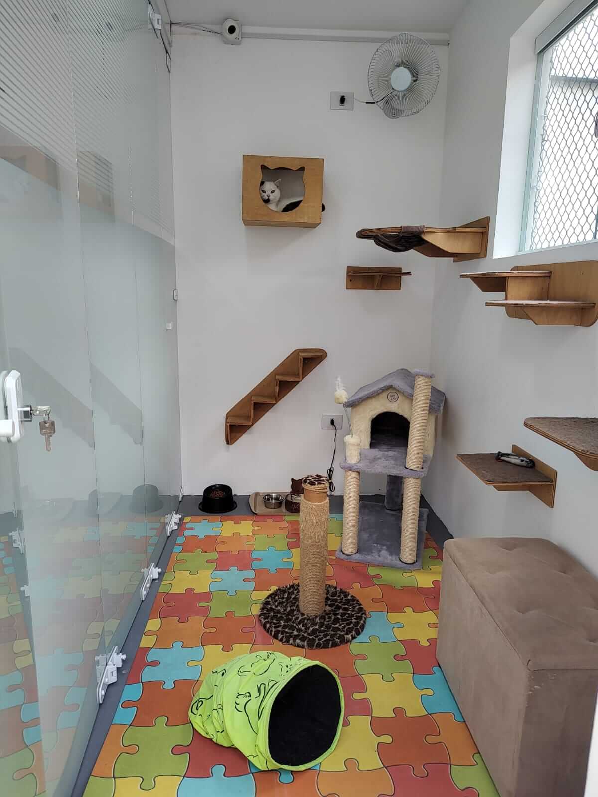 Conheça mais: Pulo do Gato