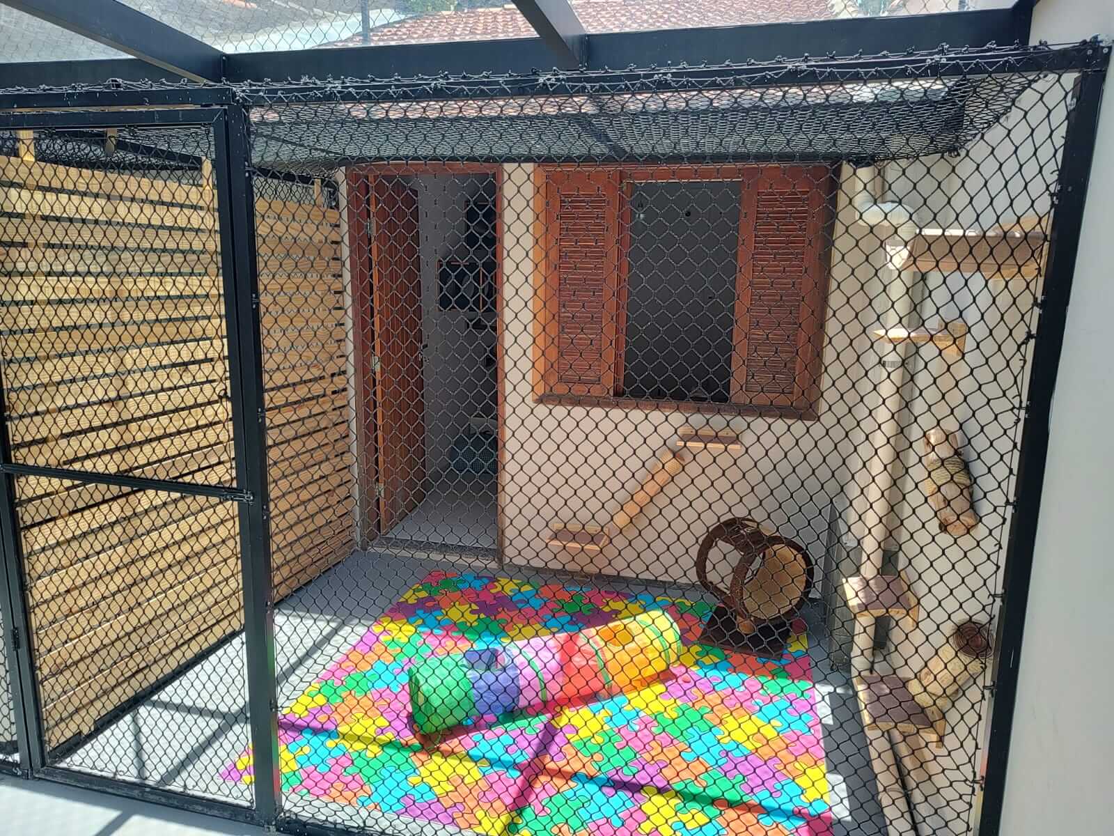 Conheça mais: Cat Resort