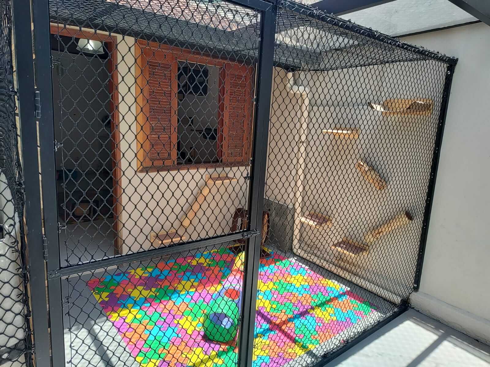 Conheça mais: Cat Resort