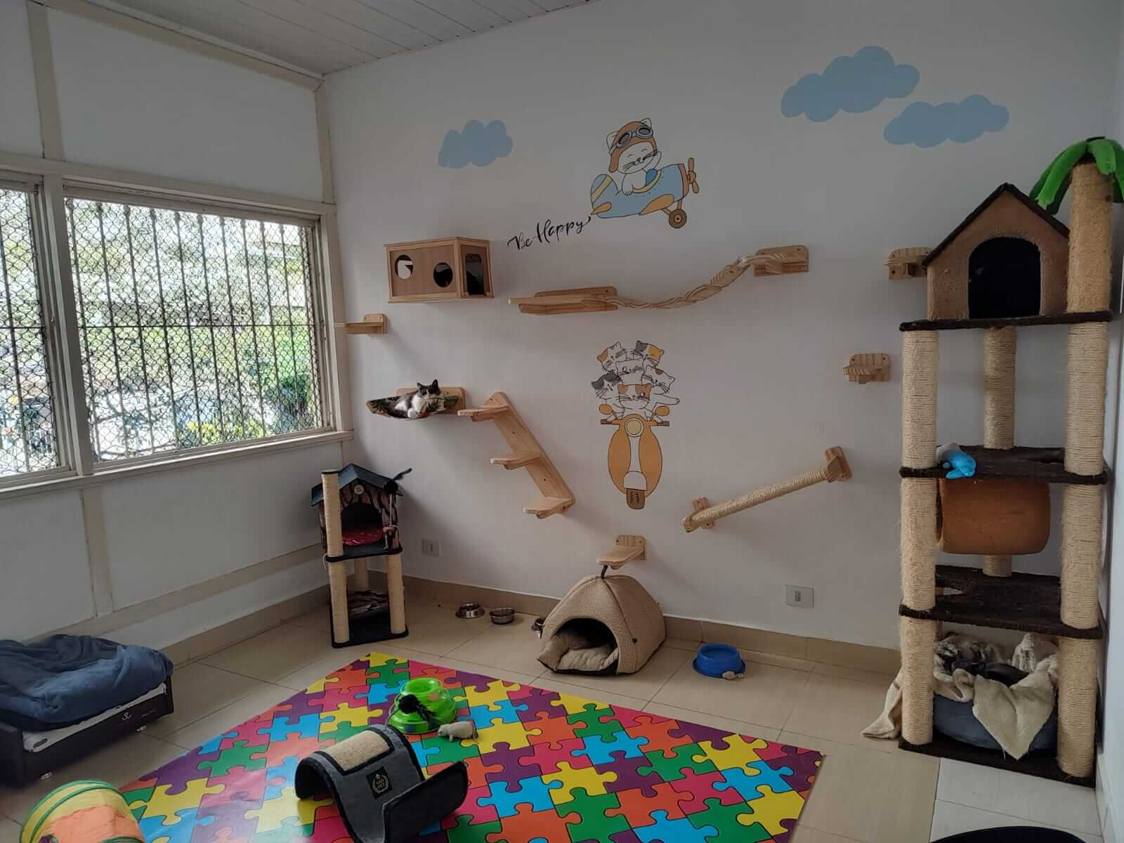 Conheça mais: Companhia Felina