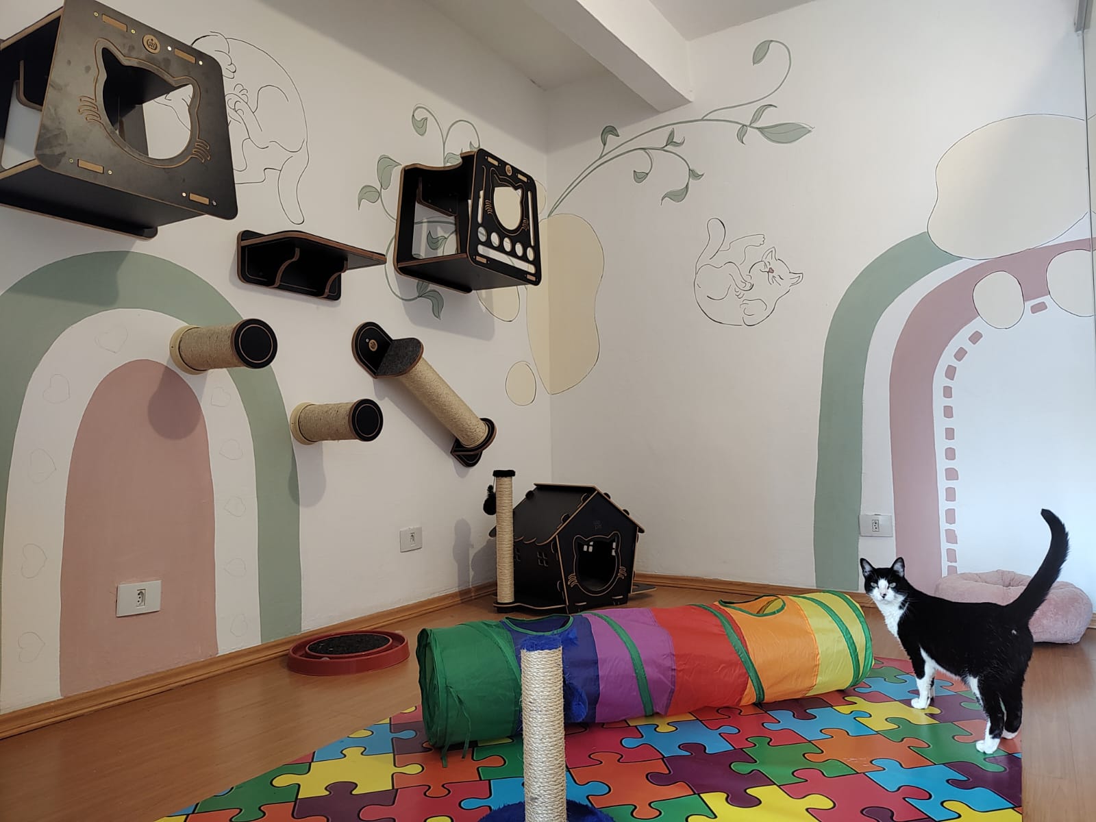 Conheça mais: Lucky Cat