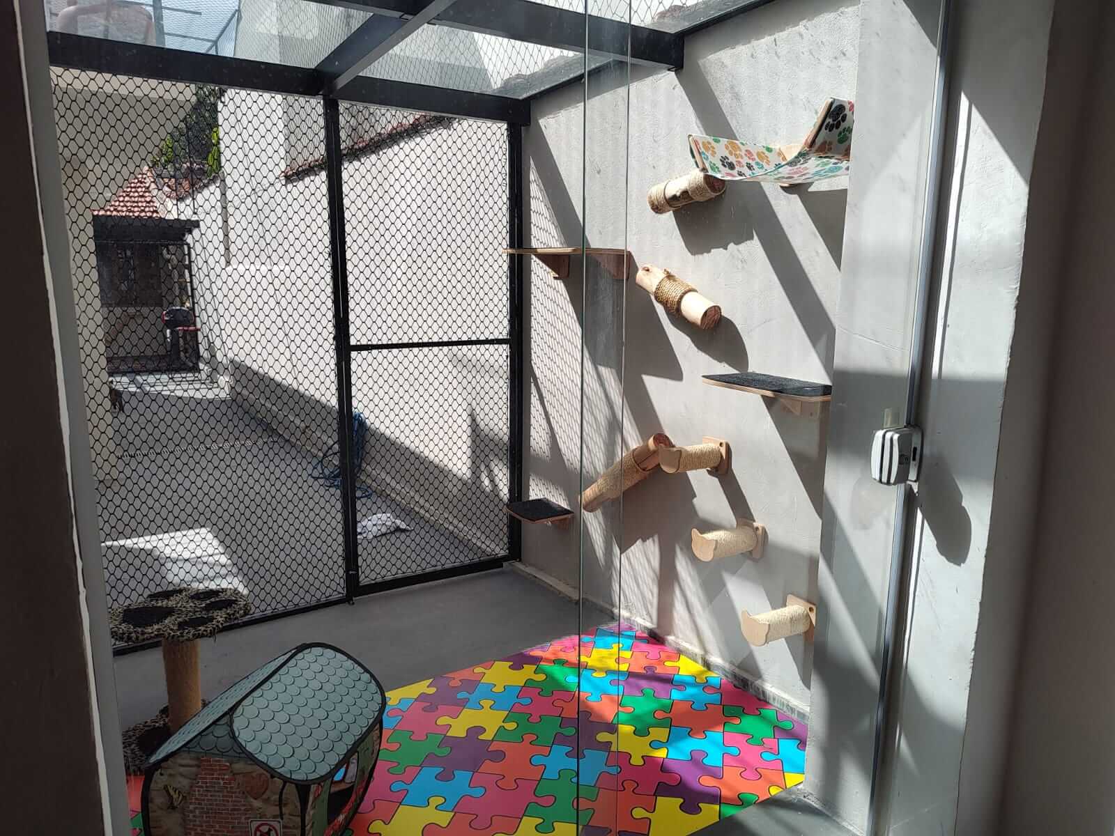 Conheça mais: Cat Boss