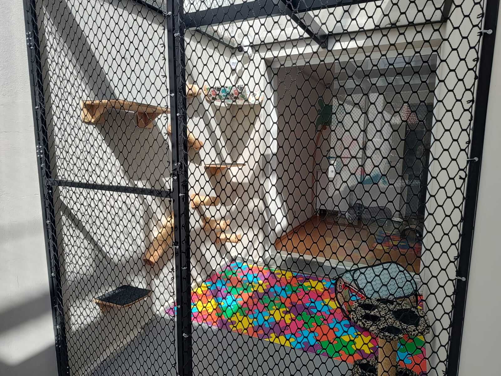 Conheça mais: Cat Boss