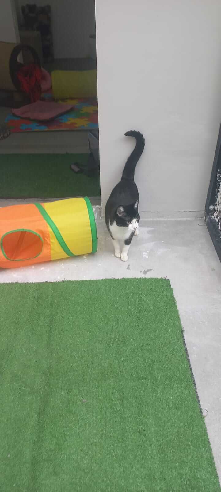 Conheça mais: Vida Mansa