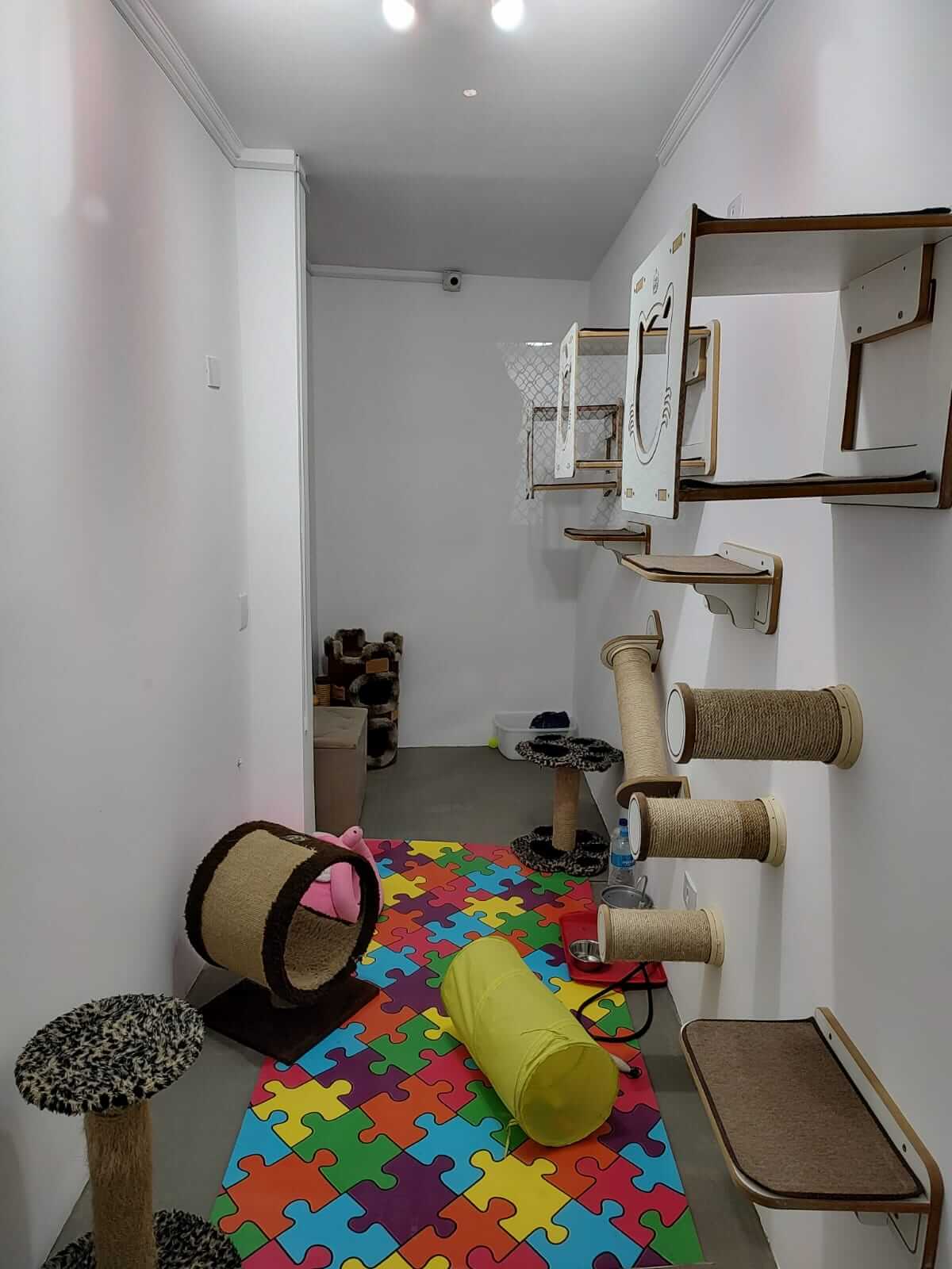 Conheça mais: Vida Mansa