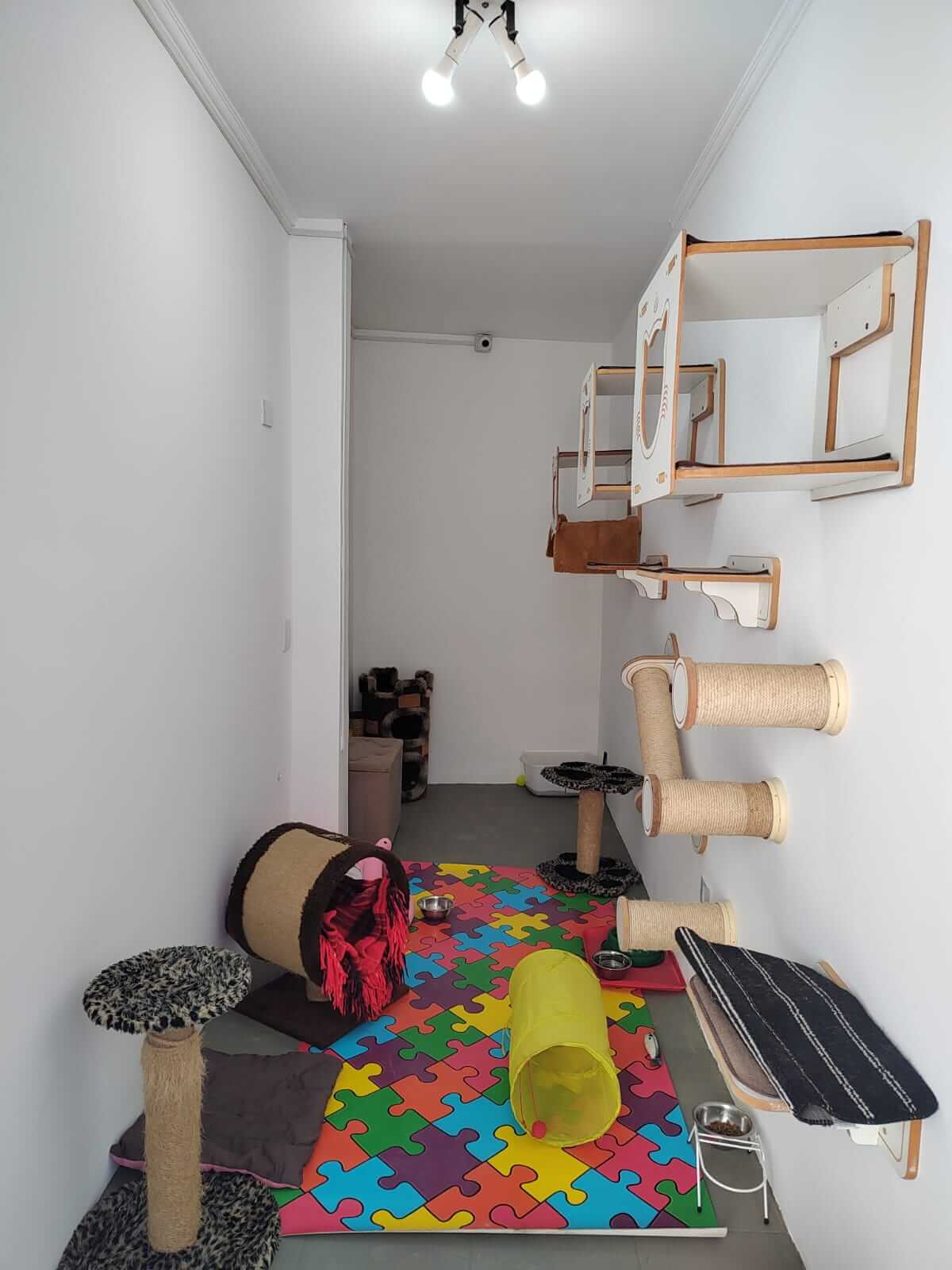 Conheça mais: Vida Mansa