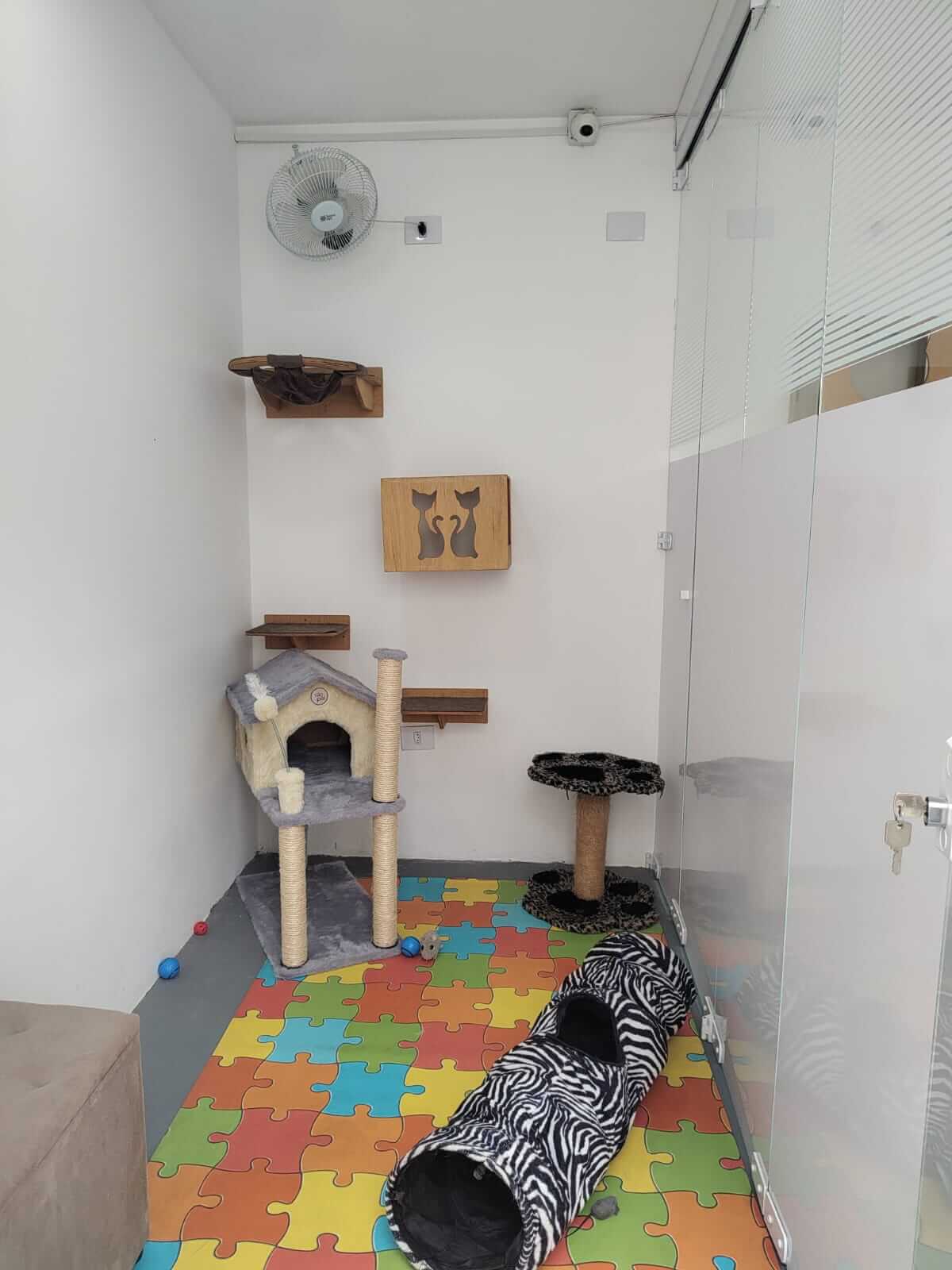 Conheça mais: Toca dos Gatos