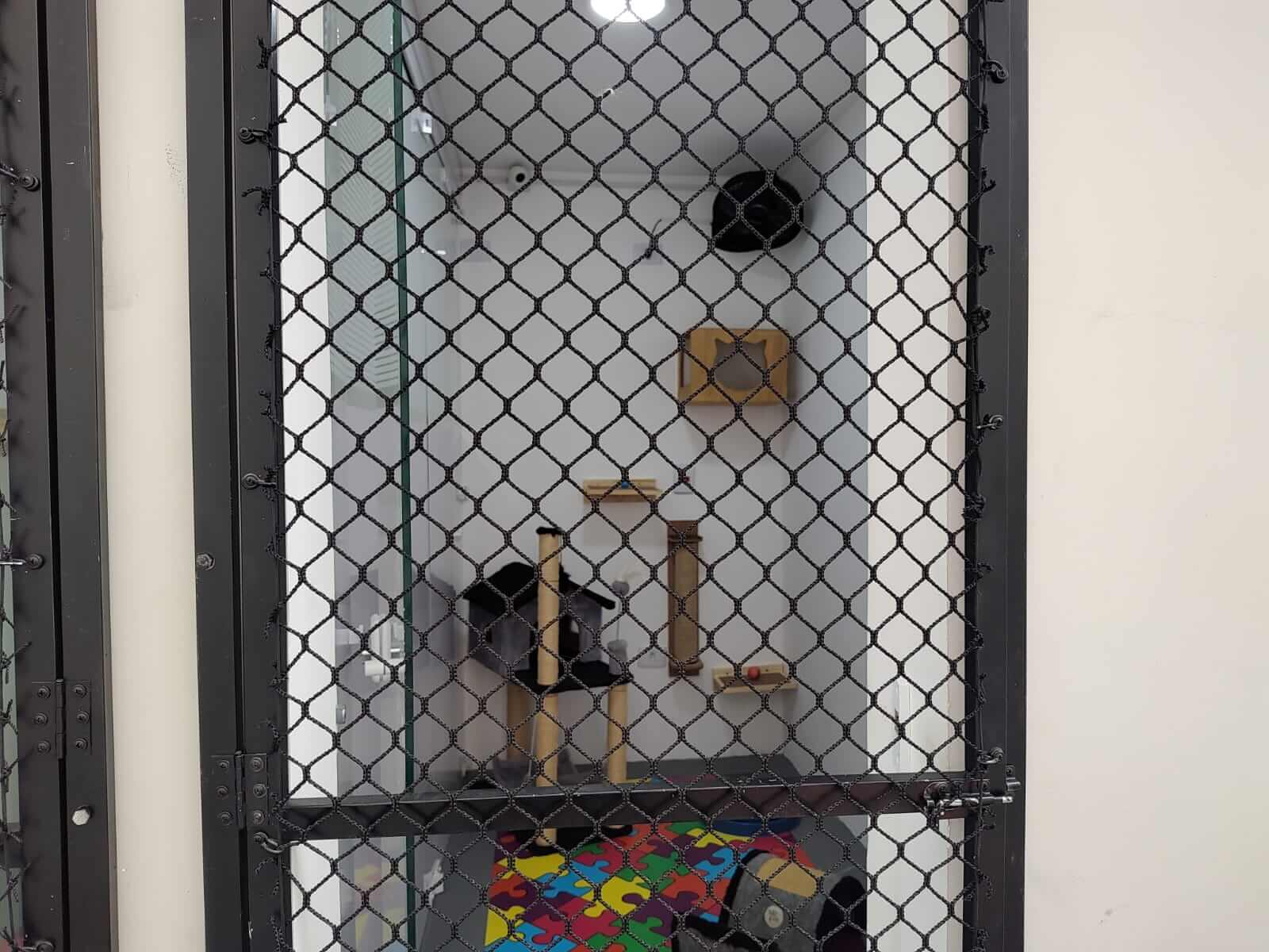 Conheça mais: Kit Cat