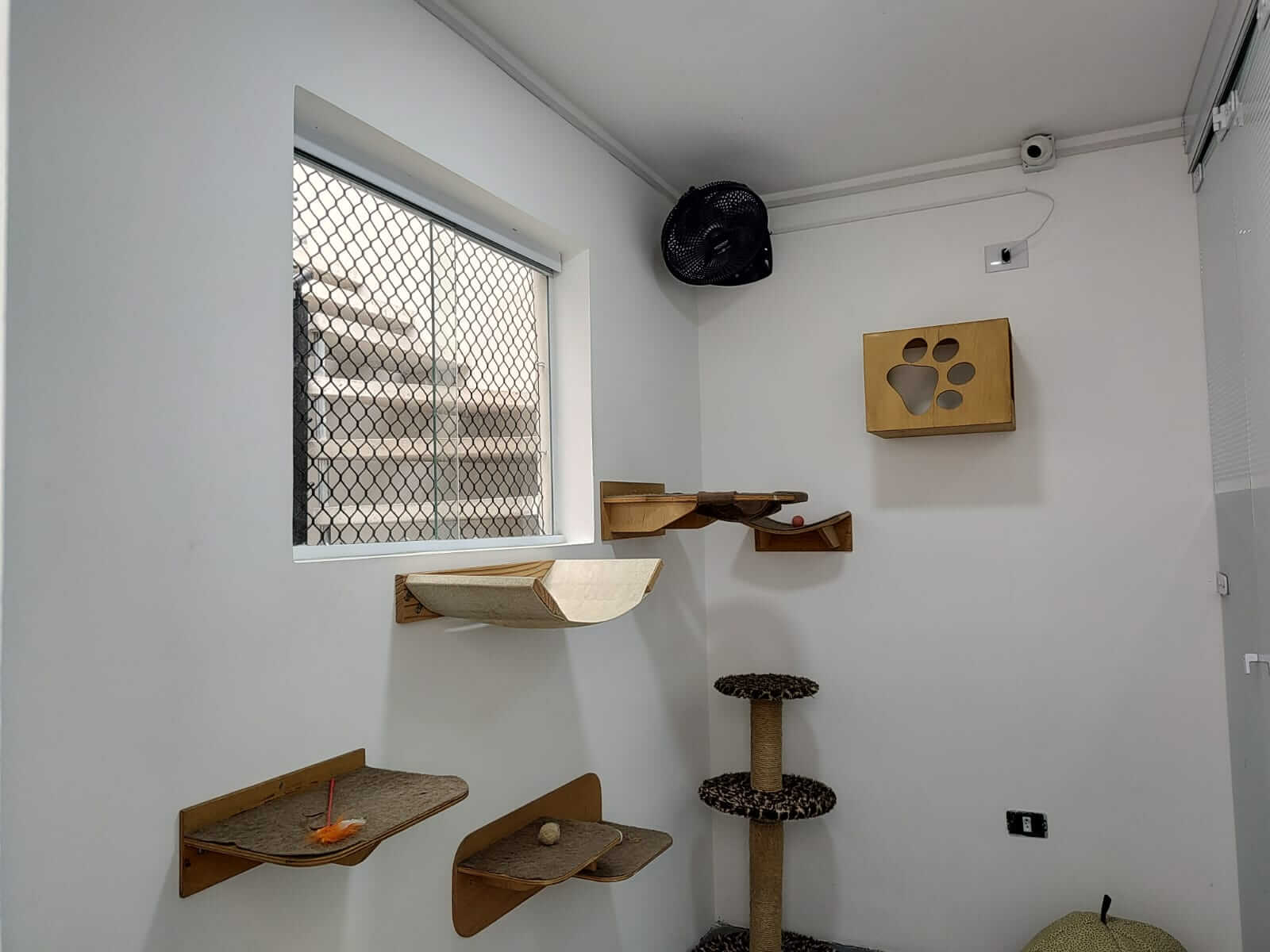 Conheça mais: Petit Gato