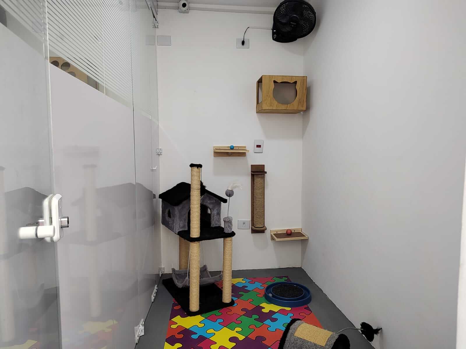 Conheça mais: Kit Cat