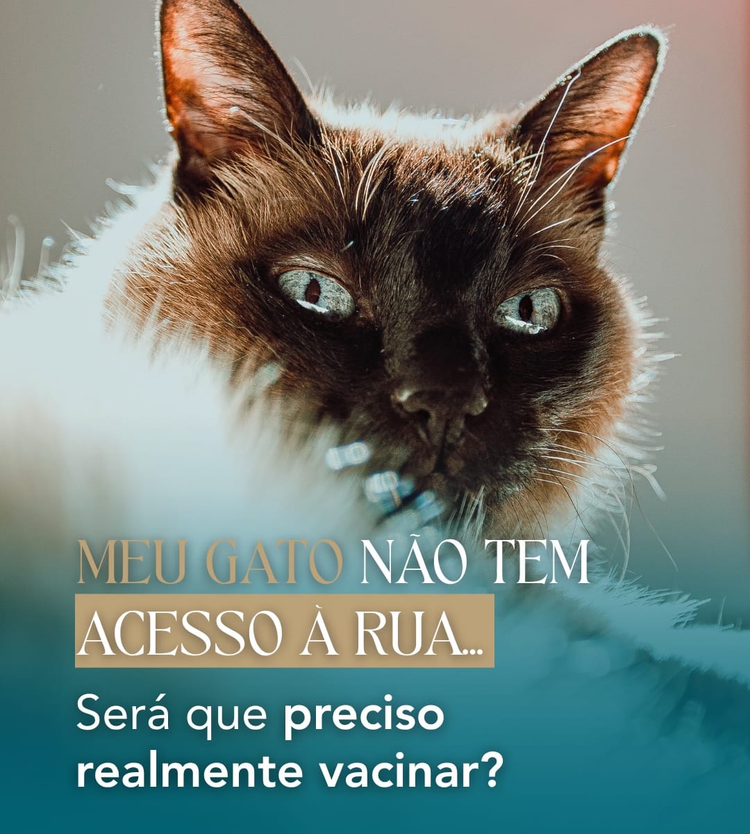 Meu gato não tem acesso a rua, preciso realmente vacinar???